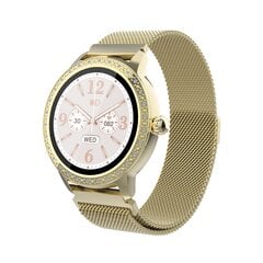 Denver SW-360 Gold цена и информация | Смарт-часы (smartwatch) | hansapost.ee