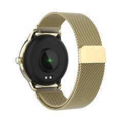 Denver SW-360 Gold цена и информация | Смарт-часы (smartwatch) | hansapost.ee