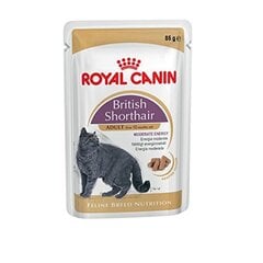 Royal Canin konservid British Shorthair, 85 g hind ja info | Kassikonservid | hansapost.ee