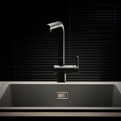 Väljatõmmatava kraaniga köögisegisti Reginox Cedar, must hind ja info | Köögisegistid | hansapost.ee