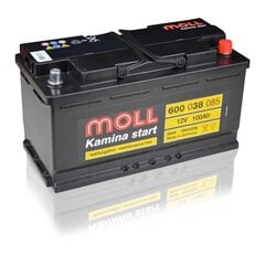Aku Moll Kamina Start 100Ah 850A цена и информация | Moll Аккумуляторы и зарядные устройства | hansapost.ee