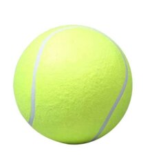 Koera mänguasi hiiglaslik tennisepall XXL 24 cm цена и информация | Игрушки для собак | hansapost.ee