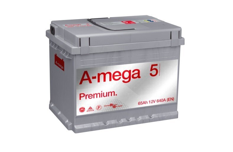 Aku A-Mega Premium 60 Ah 600A 12 V цена и информация | Autoakud | hansapost.ee
