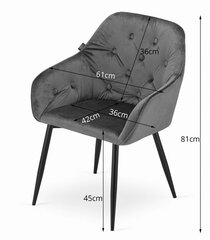 Комплект из 2 обеденных стульев Forio, черный бархат/черные ножки цена и информация | Стулья для кухни и столовой | hansapost.ee