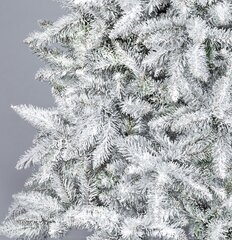 Рождественская елка Tytus Снег 2.2 м цена и информация | Новогодние елки | hansapost.ee