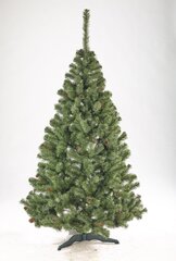Рождественская елка Liza с шишками 2.2 м цена и информация | Новогодние елки | hansapost.ee