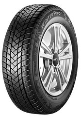 GT Radial WINTERPRO2 215/65R16 98 H цена и информация | Зимняя резина | hansapost.ee