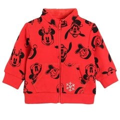 Cool Club блузон для мальчиков Disney, LCB2502708 цена и информация | Кофточки, джемперы, пиджаки для младенцев | hansapost.ee