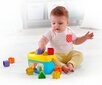 Kujundite sorteerija Fisher Price цена и информация | Beebide mänguasjad | hansapost.ee