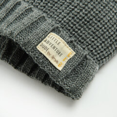 Cool Club шапка для мальчиков, CAB2501786 цена и информация | Шапочки для новорожденных, перчатки, шарфики | hansapost.ee