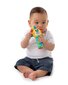 Piiksuv loom Lõvi Playgro, 0183442 цена и информация | Beebide mänguasjad | hansapost.ee