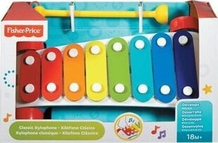 Mänguasi ksülofon Fisher Price, CMY09 hind ja info | Arendavad laste mänguasjad | hansapost.ee