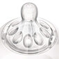 Lutipudeli lutt Philips Avent Natural, 3+ kuud, 2 tk, SCF043/27 hind ja info | Lutipudelid ja tarvikud | hansapost.ee