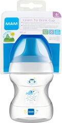 Lutipudel - tass Mam Learn To Drink 6+ kuud 190 ml, blue цена и информация | Бутылочки и аксессуары | hansapost.ee
