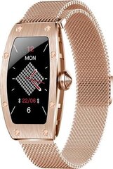 Kumi K18 Gold цена и информация | Смарт-часы (smartwatch) | hansapost.ee