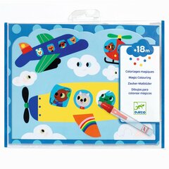 Набор для создания картин водой «Мои увлечения», DJECO DJ09061 цена и информация | Развивающие игрушки для детей | hansapost.ee