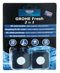 Таблетки для туалета Grohe Fresh, 2 x 50 г, 31486001 цена и информация | Чистящие средства | hansapost.ee