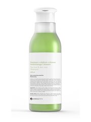 Juuste šampoon Botanicapharma Tea Tree and Aloe, 250ml hind ja info | Šampoonid | hansapost.ee