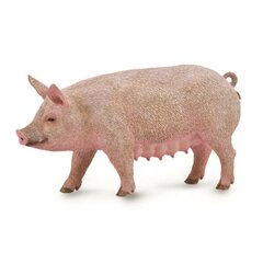 Фигурка свиньи Collecta (M), 88863 цена и информация | Игрушки для мальчиков | hansapost.ee