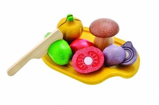 Mängu toiduainete komplekt Planatoys "Assorted Vegetables set" цена и информация | Развивающие игрушки для детей | hansapost.ee