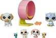 Kujukeste komplekt Playhouse Hasbro Littlest Pet Shop hind ja info | Mänguasjad tüdrukutele | hansapost.ee
