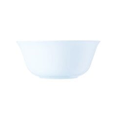 Обеденный сервиз Luminarc Carine, 100 предметов цена и информация | Посуда, тарелки, обеденные сервизы | hansapost.ee