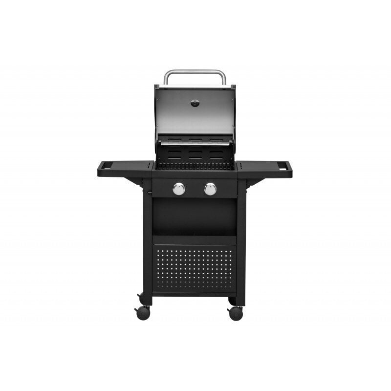 Gaasigrill Mustang Monterey 2 SST, 107x48x108 cm hind ja info | Grillid | hansapost.ee