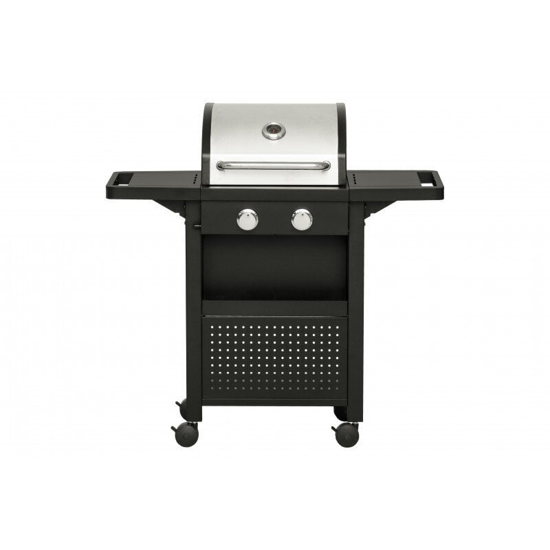 Gaasigrill Mustang Monterey 2 SST, 107x48x108 cm цена и информация | Grillid | hansapost.ee