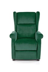 Tugitool Halmar Agustin 2, roheline цена и информация | Кресла для отдыха | hansapost.ee
