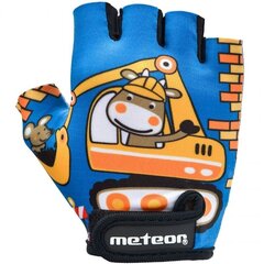 Тренировочные перчатки Meteor Teddy Builder Junior 26184-26185-26186 цена и информация | Перчатки для турника и фитнеса | hansapost.ee