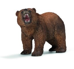 Медведь Гризли Schleich Wild Life цена и информация | Игрушки для мальчиков | hansapost.ee