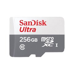 Sandisk SDXC 256GB UHS-I/SDSQUNR-256G-GN3MN цена и информация | Карты памяти для телефонов | hansapost.ee