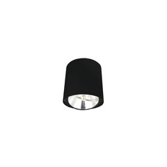 Light Prestige laelamp Calda 1, must hind ja info | Laelambid | hansapost.ee