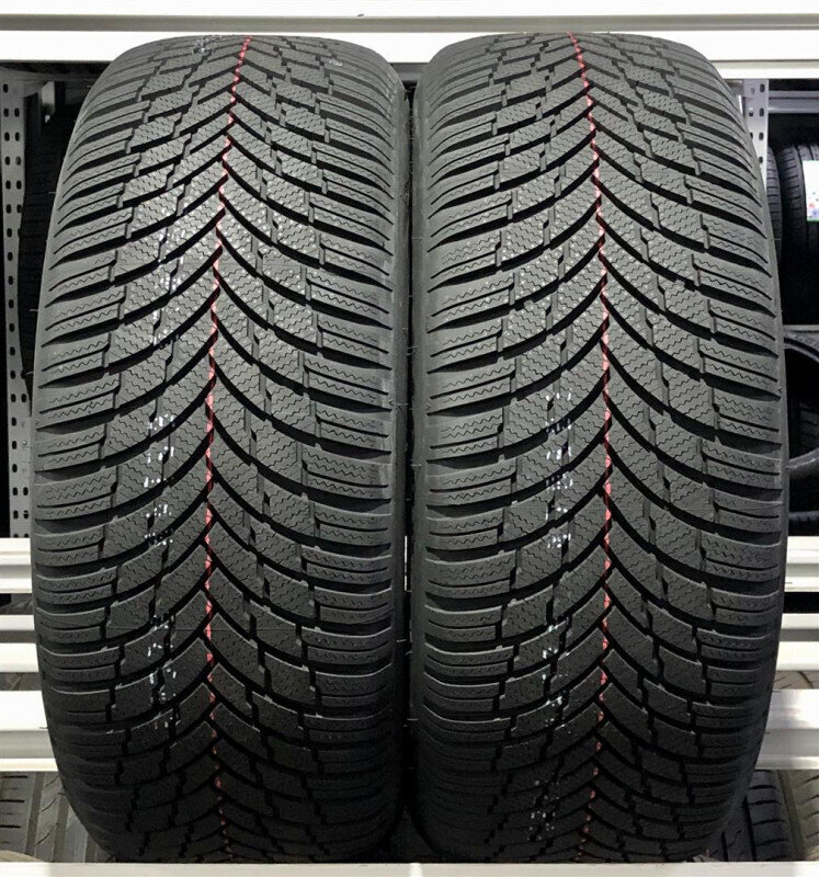 Firestone Winterhawk 4 225/55 R19 цена и информация | Talverehvid | hansapost.ee