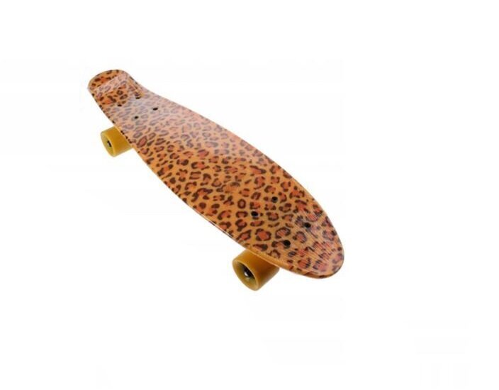 Rula Fishboard Fish No.5, 60 cm hind ja info | Rulad | hansapost.ee