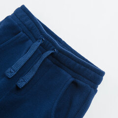 Cool Club спортивные штаны для мальчиков, CCB2512466 цена и информация | Штаны для мальчиков | hansapost.ee