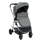 Universaalne jalutuskäru Bebe Confort Hello 2 in 1, Black Chic hind ja info | Vankrid, jalutuskärud | hansapost.ee