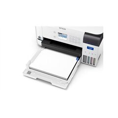 Epson C11CJ80302 цена и информация | Принтеры | hansapost.ee