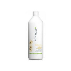 Silendav juuksepalsam Matrix Biolage Smoothproof Hair Conditioner, 1000 ml цена и информация | Бальзамы, кондиционеры | hansapost.ee