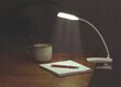 Sülearvutilaud koos LED-lambiga цена и информация | Arvutilauad, kirjutuslauad | hansapost.ee