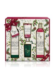 Vannikosmeetika kinkekomplekt Baylis & Harding The Fuzzy Duck Winter Wonderland: vannivaht, 250 ml + dušikreem, 250 ml + kätekreem 30 ml + küünal цена и информация | Масла, гели для душа | hansapost.ee