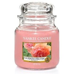 Yankee Candle Sun-Drenched Apricot Rose Candle - Scented candle 104.0g цена и информация | Свечи, подсвечники | hansapost.ee