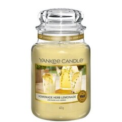 Ароматическая свеча Yankee Candle Homemade Herb Lemonade, 104 гр цена и информация | Свечи, подсвечники | hansapost.ee