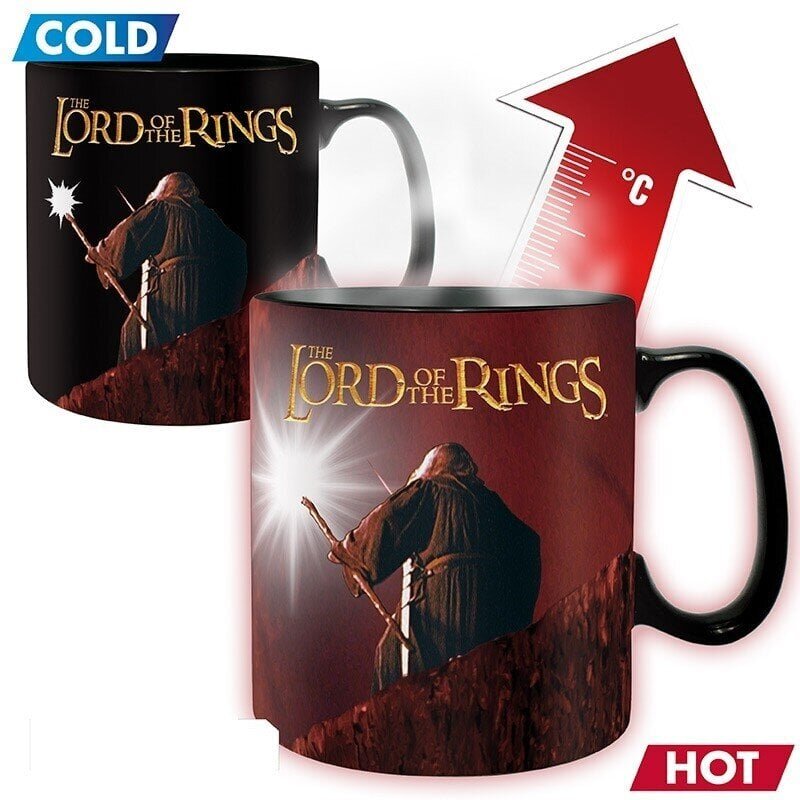 Pudel The Lord Of The Rings You Shall Not Pass, 460 ml цена и информация | Fännitooted mänguritele | hansapost.ee