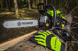 Bensiinimootoriga kettsaag Fieldmann FZP 5216-B, 52cc, 1.9kW, 16” hind ja info | Mootorsaed | hansapost.ee