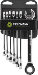 Mutrivõtmete komplekt Fieldmann FDN 1045 price and information | Hand tools | hansapost.ee