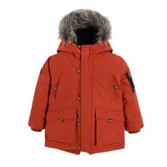Cool Club зимняя куртка для мальчиков, COB2313419 цена и информация | Зимняя одежда для детей | hansapost.ee