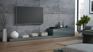 ТВ столик Halmar Life, серый цена и информация | Тумбы под телевизор | hansapost.ee