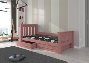Детская кровать Carmel 217x104x97см цена и информация | Детские кровати | hansapost.ee