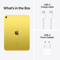 iPad 10.9" Wi-Fi + Cellular 256GB - Yellow 10th Gen - MQ6V3HC/A hind ja info | Tahvelarvutid | hansapost.ee